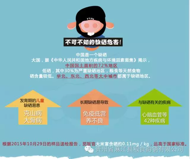 为您带来健康的绿色有机食品